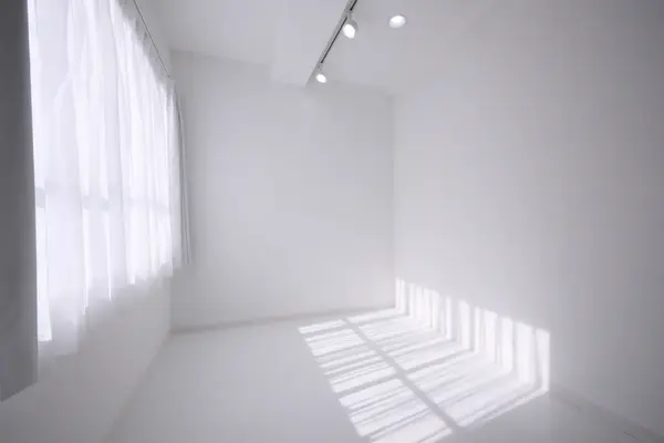 白ホリゾント 14